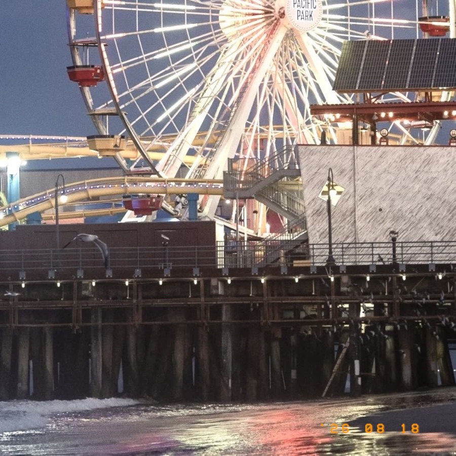 A Ferris wheel on a seaside pier with a mono date print