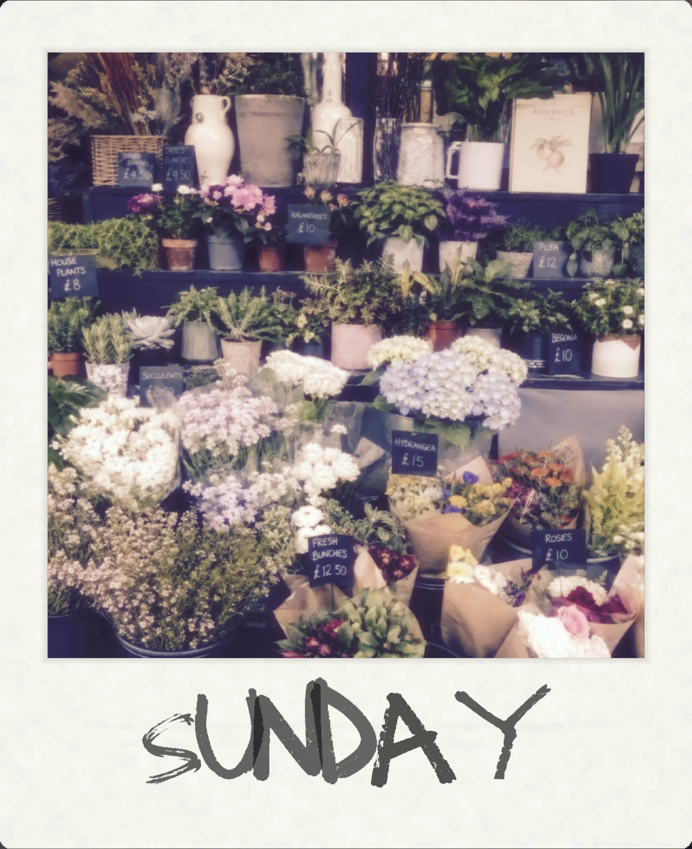 A flower shop in a classic instant frame with handwriting