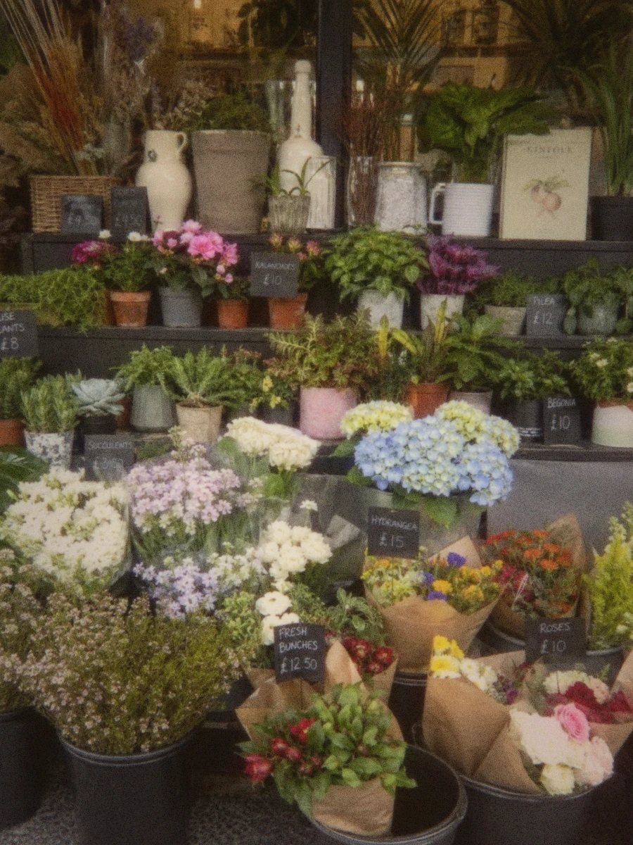 Hydrangeas and bouquets outside a flower shop, before and after Super 8 processing
